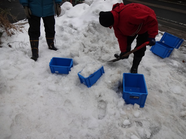 さんべ志学の雪あかり2013