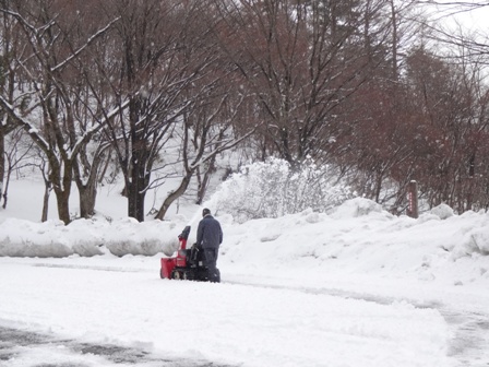 さんべ志学の雪あかり2014