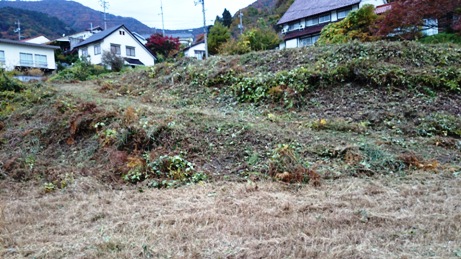 さんべ志学の雪あかり2014