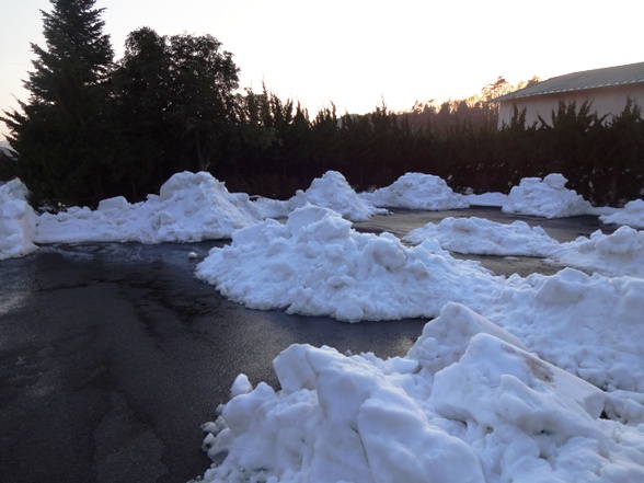 さんべ志学の雪あかり2014