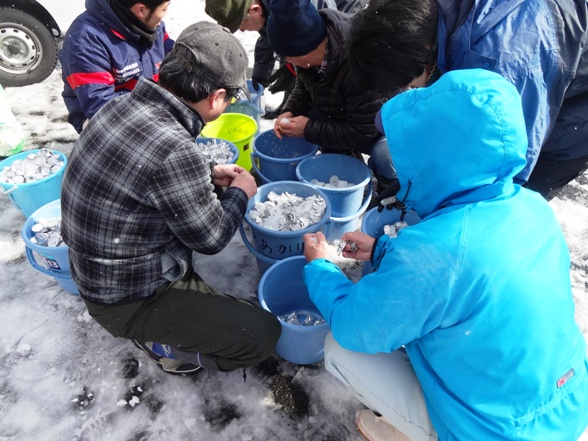 さんべ志学の雪あかり2014